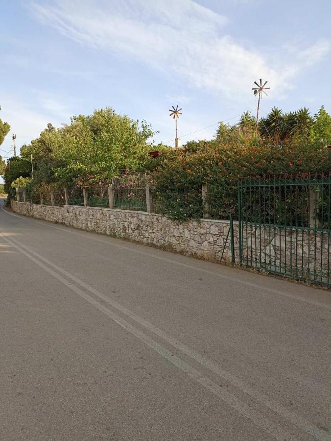 Palm-Tree Διαμέρισμα Αρκούδι Εξωτερικό φωτογραφία