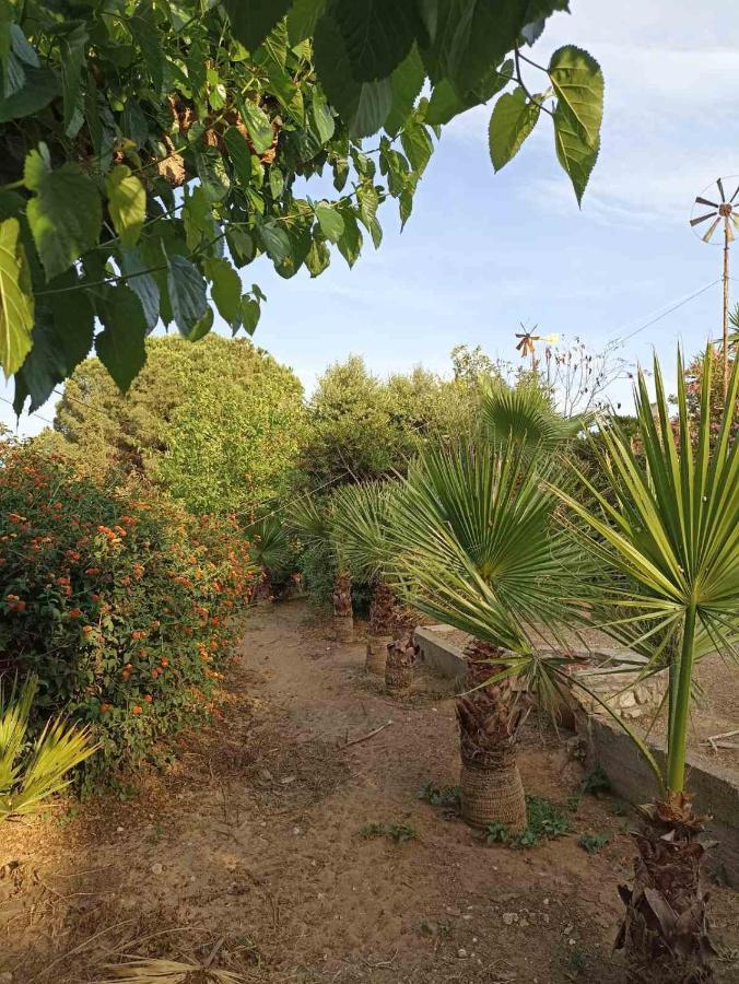 Palm-Tree Διαμέρισμα Αρκούδι Εξωτερικό φωτογραφία